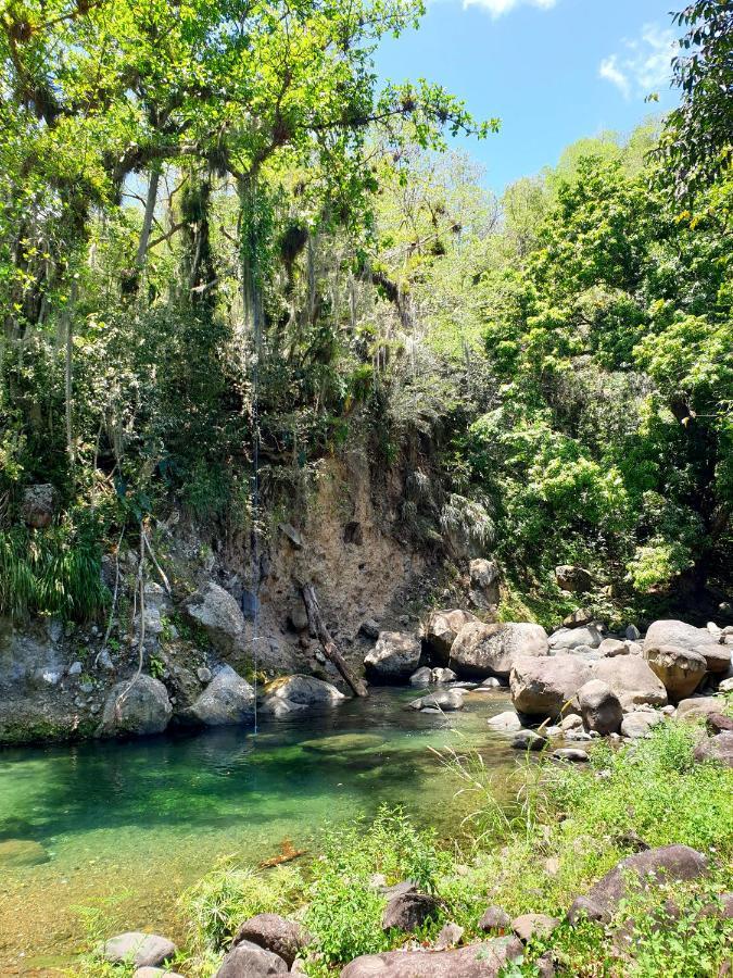 Gite 4 Etoiles, La Vieille Sucrerie St Claude Guadeloupe, Jacuzzi Spa Privatif, Vue Exceptionnelle Sur La Mer Des Caraibes Бас-Тер Экстерьер фото