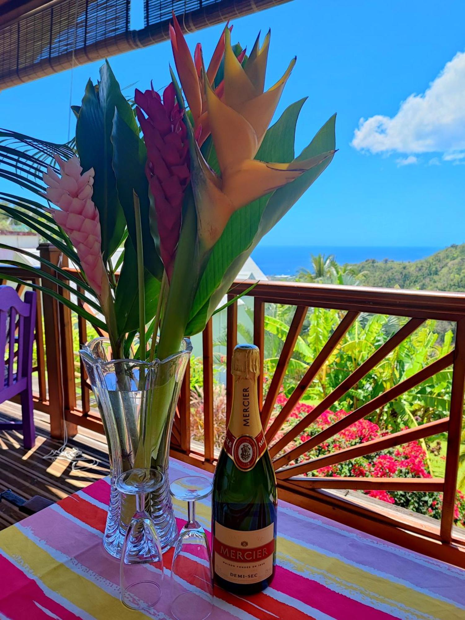 Gite 4 Etoiles, La Vieille Sucrerie St Claude Guadeloupe, Jacuzzi Spa Privatif, Vue Exceptionnelle Sur La Mer Des Caraibes Бас-Тер Экстерьер фото
